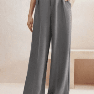 Next One Smart High-Rise Pleated Korean Trouser For Women
