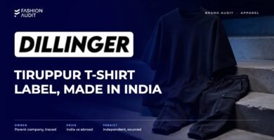 Dillinger brand audit by FashionAudit: Dillinger logo and the headline “Tiruppur T-Shirt Label, Made in India” over an oversized plain streetwear t-shirt and cargo joggers on concrete steps